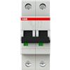 ABB S202 C13 INTERRUTTORE AUTOMATICO 6KA 2P