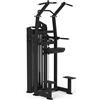 Diamond Professionale CHIN UP / DIP- Weight Stack 100 kg - Linea Diamond Professional Strenght - Cod. WS650-CHINUPDIP