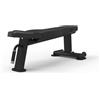 Diamond Professionale S550 FLAT BENCH - Linea Diamond Strenght - Cod. GB550-FLATBENCH