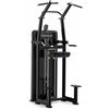 Diamond Professionale Macchinario assistito Chin Up/Dip - Weight Stack 90 kG. - Linea Diamond Professional Strenght - Cod. WS550-CHINUPDIP