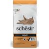Schesir Dry Cat Mantenimento per Gatto Adult con Pollo da 10 Kg