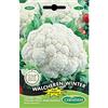 Germisem Walcheren Winter 5 Semi di Cavolfiore 0.5 g