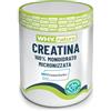 WHY NATURE CREATINA 100% MONOIDRATO MICRONIZZATA - Pre & Post Workout - Integratore Alimentare a Base di Creatina Monoidrato Creavitalis® - 200 gr