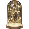 hellum Campana in vetro con catena luminosa bianca calda, 30 LED, campana in vetro con fondo in legno, altezza 19,5 cm, diametro 12 cm, decorazione a batteria (non inclusa) con timer, decorazione San