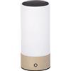 Dehner Lampada solare Levi Ø9 x H20 cm - Lampada LED per esterni con funzionamento solare e a batteria, cavo USB-C incluso, bianco caldo, sensore crepuscolare, acciaio inox e vetro