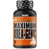 Weider Creatina Maximum Krea-Genic 200 cps