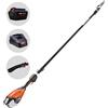 Echo DPPT-2600LW - Potatore a batteria su asta - 56V 5Ah