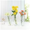 BlogBlog Vasi in vetro per fiori, piccoli vasi in vetro per decorazione, vaso da fiori sfuso per soggiorno, tavolo da pranzo, matrimoni, feste, eventi, decorazione per la casa, composizioni floreali