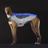 WNING Giacca Imbottita Regolabile per Cani, Gilet per Cani da Riscaldamento con Luce per Cani LED, Giacca per Cani Accogliente e Antivento per Cani di Taglia Piccola e Media Taglia Grande (XL, Blu e Grigio)