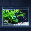 LAQUAL Acquario da 10 litri con retino e sifon per cambio acqua, in vetro cristallino, piccolo acquario per pesci betta e rossi, bella decorazione domestica