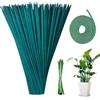 mizikuu 50 Pezzi Bastoncini di Supporto per Piante, 38CM Tutore per Piante con Nastro di Carta per Fiori da 30 Yard e 50 Legami Vegetali