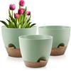 QRRICA Set di 3 vasi per piante autoirriganti da 25/22/20 cm, in plastica, con fori di drenaggio e piattini, vasi da fiori in plastica, per piante da interno ed esterno (verde)