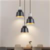 SXHZLY Lampada a sospensione nera Lampada a sospensione per tavolo da pranzo Lampada a sospensione a 3 luci E27 Retro Lampada da cucina Lampada da sala da pranzo (Nero e oro)