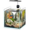Hydor Acquario 9,5 Litri in Vetro con Lampada LED Dimmeribile 3 Modalità (giorno, notte e misto), 22 x 22 x h 36 cm.