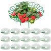 Mineup 15 Pezzi Supporti per Fragole, Supporto per Fragole, Supporti per Fragole e Piante rampicanti, Supporto per Piante di Fragole per Piante di Fragole, Protezione dalla putrefazione