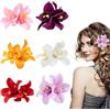 LEIBOCHAO 6 Pezzi Hawaii Fiore per Capelli Donna, Fermagli Capelli Bambina, Fiori mollette, Orchidee Doppie Colorate Forcine, Clip Accessori Capelli Cerimonia per Sposa Ragazze Festa Spiaggia Nozze Estate