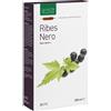 NATURA SERVICE Srl RIBES NERO BIOLOGICO 20 AMPOLLE BEVIBILI DA 15 ML