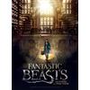 Wrebbit Puzzle del poster di Wrebbit - Bestie fantastiche - Macusa TACTIC