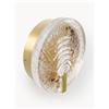 Maytoni Applique a LED Regatta