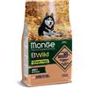 MONGE & C. S.p.a. Monge Natural Superpremium Grain Free Formula All Breeds Cane Adulto Salmone Con Piselli 12 Kg