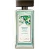 Gandini Muschio Bianco Timeless White Musk Edt 100ml Spray