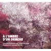 AMPED A L'Ombre D'Un Ormeau