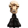 Weta Workshop Miniaturowa figura czaszki Trolla Jaskiniowego Weta Workshop 21 cm