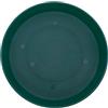 The HC Companies Sottovaso in plastica, sempreverde, 30,5 cm