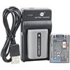 DSTE DE Confezione da 2 batterie agli ioni di litio DSTE NP-FP50 + caricatore micro USB compatibile con Sony DCR-DVD103, DCR-DVD105, DCR-DVD203, DCR-DVD205, DCR-DVD305, DCR-DVD92, DCR-HC20