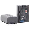 DSTE DE DSTE(2 Pack) Batteria di ricambio NP-FP50 NP-FP30 compatibile con Sony DCR-30 DCR-DVD103 DCR-DVD105E DCR-DVD202E DCR-DVD203 DCR-DVD203E