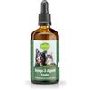 Kräuterhaus Sanct Bernhard tierlieb Olio di alghe con Omega-3 in gocce"
