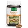 Kräuterhaus Sanct Bernhard Capsule Cordyceps Sinensis"