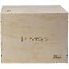 HMS Plyo Box HMS DSC01