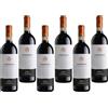 Tenute Lunelli Carapace 2019 Montefalco Sagrantino Biologico Docg 75 cl 6 Bottiglie