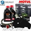 Motul - Hiflo - Champion - Bando - Mitsu Tagliando PIAGGIO Beverly 250 Tourer 2007 2008 2009 / Olio Motul + Kit Completo