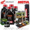 MOTUL - HIFLO - TROFEO KIT TAGLIANDO HONDA HORNET 600 2003 2004 OLIO MOTUL 7100 FILTRO PASTIGLIE GRASSO