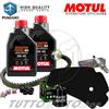MOTUL - HIFLO - NGK - PIAGGIO - BANDO Tagliando PIAGGIO Beverly 300 2022 2023 2024 Kit Olio Motul Filtri Trasmissione