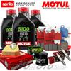 MOTUL - HIFLO - MEIWA - CHAMPION - BREMB Tagliando APRILIA Tuono 660 2021 2022 2023 2024 2025 Kit Olio Motul 5100 10W50