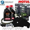 Motul - Hiflo - NGK - Bando - Mitsuboshi Tagliando PIAGGIO Beverly 300 ie ABS 2016 2017 / Kit Olio Motul Scooter 5W40 4T