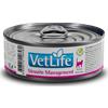 Farmiva VetLife per Gatti Struvite Management 85gr