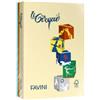FAVINI Carta Le Cirque - A4 - 160 gr - mix 5 colori tenui + mix 5 colori forti - Favini - conf. 250 fogli (unità vendita 1 pz.)