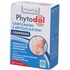 phytodol 60 g Compresse