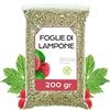 EPEL Foglie di Lampone 200 gr - Tisana Foglie di Lampone - Tè alle Foglie di Lampone - Tisana Foglie di Lampone Gravidanza - Infusi Sfusi - Proprietà Naturali - Infusi d'Erbe (200 gr)