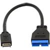 chenyang USB 3.0 19/20Pin a USB 3.1 Tipo-E Adattatore per cavo di prolunga per scheda madre con pannello frontale 20 cm