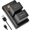 DSTE 2PCS NP-FV100 NP-FV100a (5700mAh/7.4V) Batteria Caricatore Compatibile per DCR-SX15,DCR-SX21,DCR-SX45,DCR-SX65,DCR-SX85,HDR-CX105,HDR-CX150