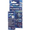 Hobby Planaria X