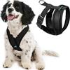 Gooby Choke Free Comfort x Morbido Dog Harness