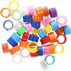 BESPORTBLE 100 anelli per piedi in plastica da 8 mm, con numeri per l'identificazione degli uccelli, colorati per pappagalli, parrocchetti e parrocchetti