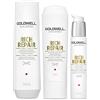 Goldwell Dualsenses Rich Repair Kit