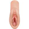 Orion PDX Perfect Pussy Dream Stroker Light 14,8 cm